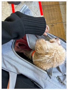 「NON STYLE」井上裕介