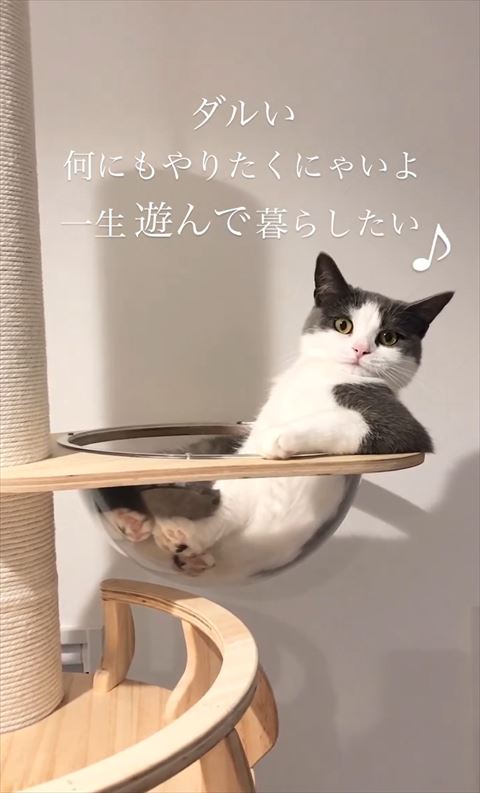 ヒジついてカメラ目線