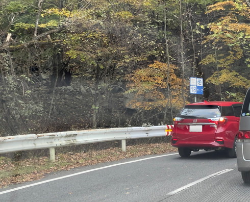 いろは坂で立ち往生していたホンダ車