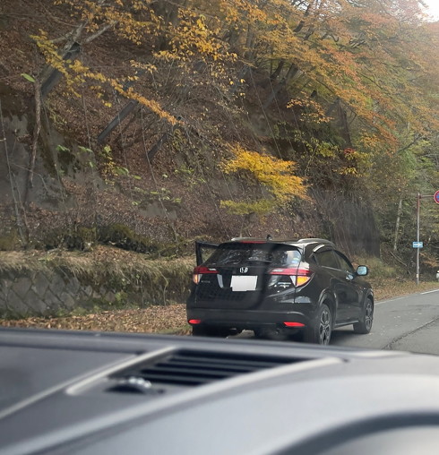 いろは坂で立ち往生していたホンダ車