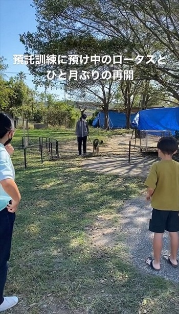 預託訓練中の愛犬と再会