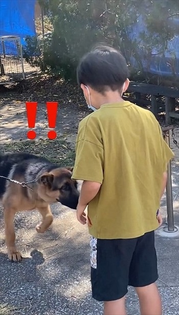 オススメ