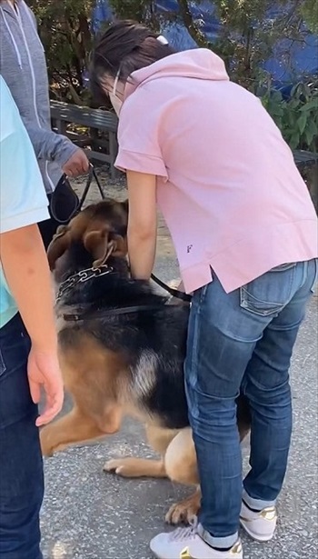 預託訓練中の愛犬と再会