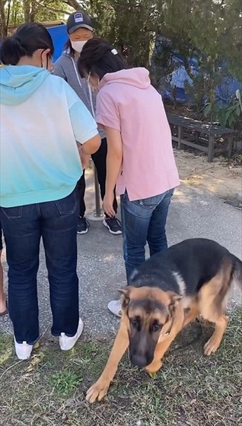 預託訓練中の愛犬と再会