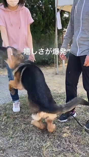 預託訓練中の愛犬と再会
