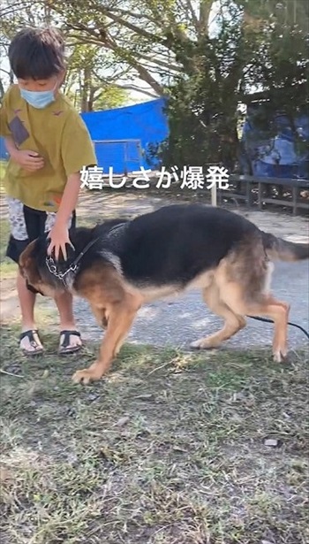 預託訓練中の愛犬と再会