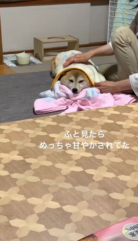 母の手が浮いてる画像