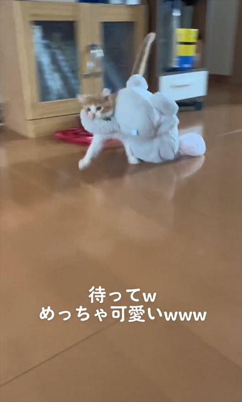 右前足だして小走り