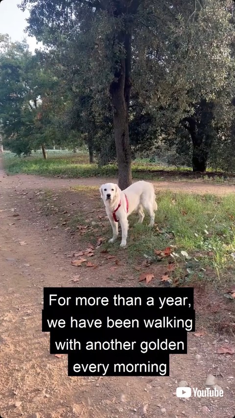 友達が来なくなった朝