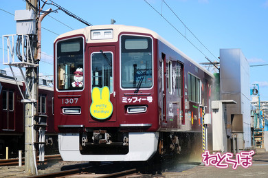 きれいになったミッフィー号