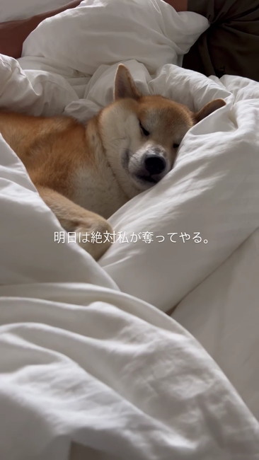 私が奪ってやる