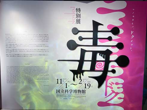 国立科学博物館 特別展 毒 お土産 ベニテングタケ 徘徊 ぬいぐるみ キノコ