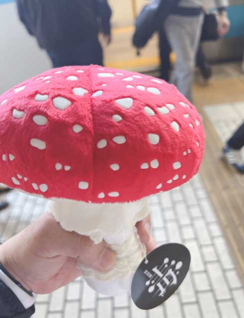 ツキヨタケ　ベニテングタケ　ぬいぐるみ　毒展　新品タグ付 手にベニテングタケを持って徘徊してる」 特別展「毒」の