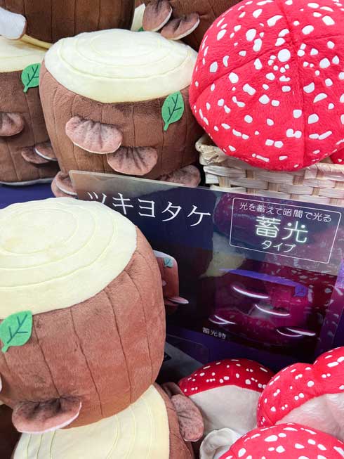 手にベニテングタケを持って徘徊してる」 特別展「毒」の