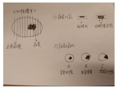 秋野暢子の投稿