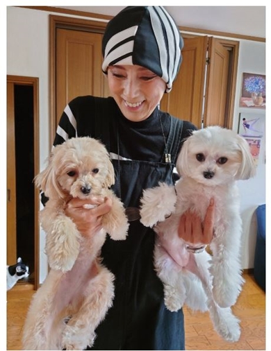 秋野暢子の投稿