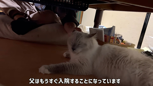 ムクくんをなでるお父さん