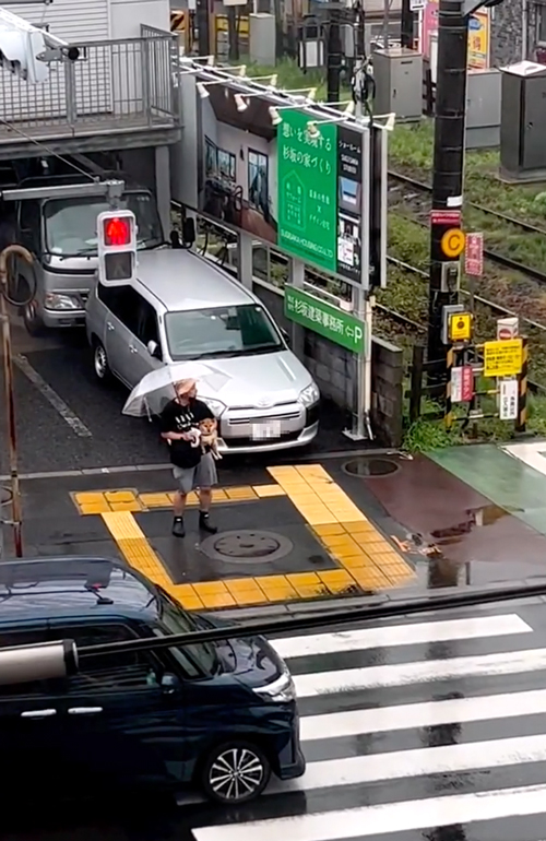 抱っこで帰ってくる柴犬