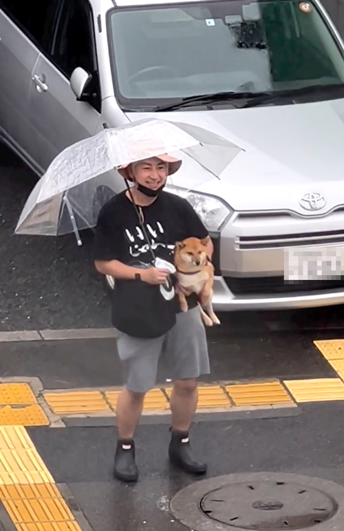 抱っこで帰ってくる柴犬