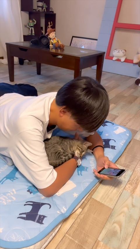 アゴ乗せる子猫