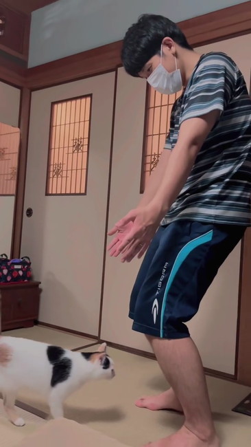 パパ手を広げる