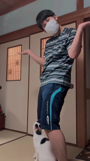 やれやれポーズ