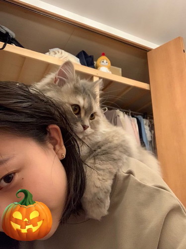 勉強させたくないモカちゃん