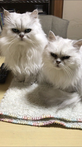 ライくんとミンちゃん