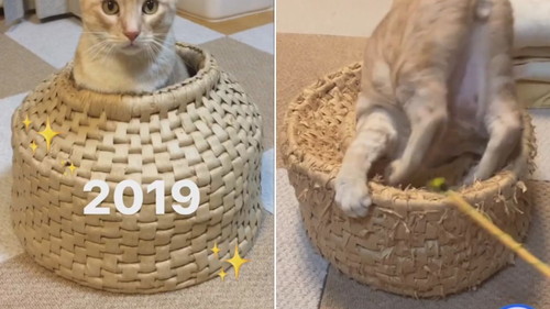 つぼビフォーアフター