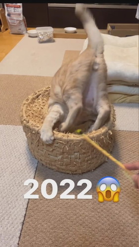 つぼのアフター