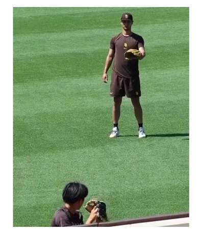 ダルビッシュ聖子