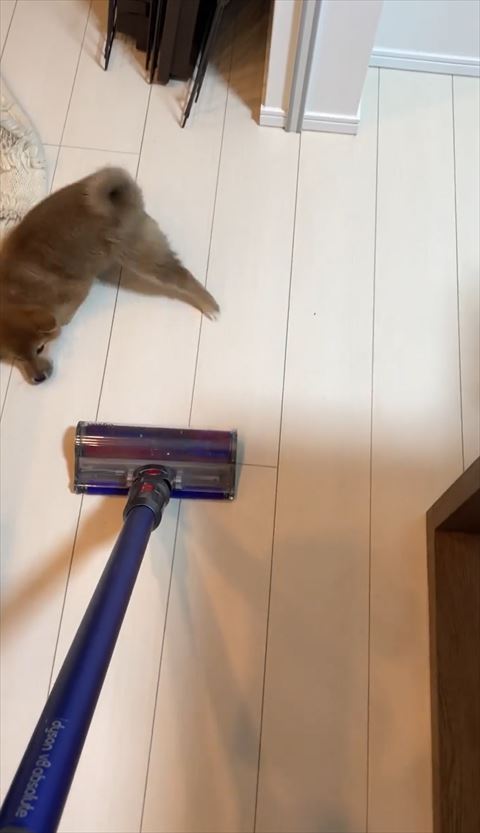 左側から掃除機見る