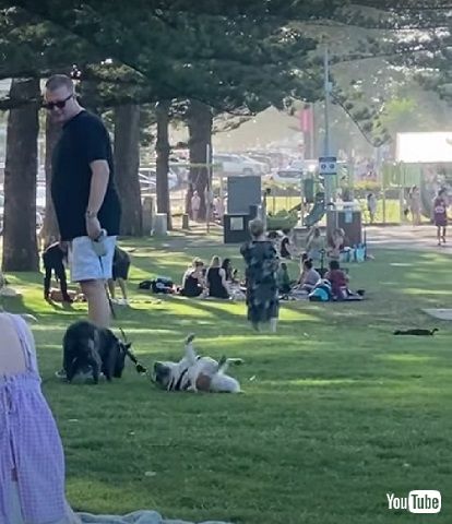 気持ちよさそうな公園