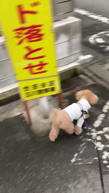 スピード落とせ