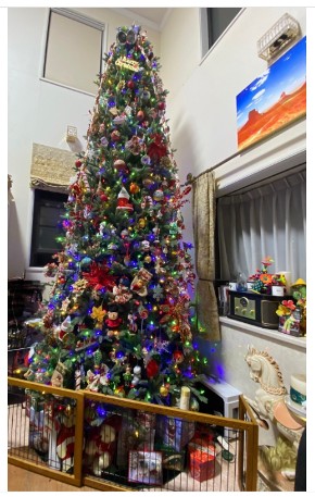 北斗晶と佐々木健介のクリスマス