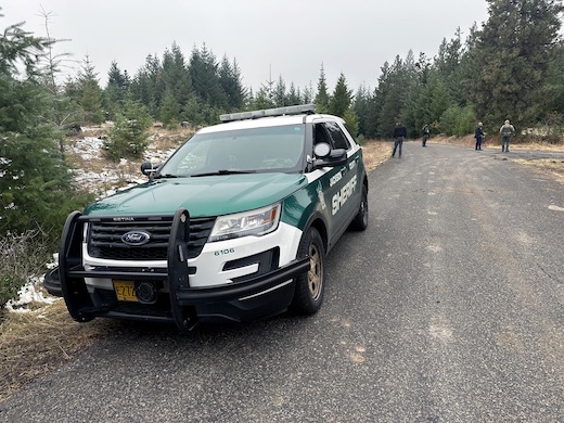 アメリカ 警察 保安官 無謀運転