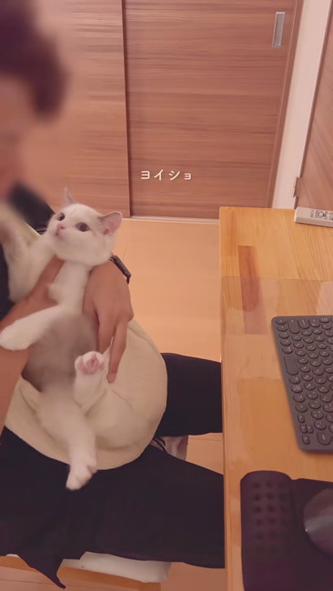 スリングへ入れる