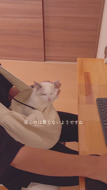 居心地悪くない