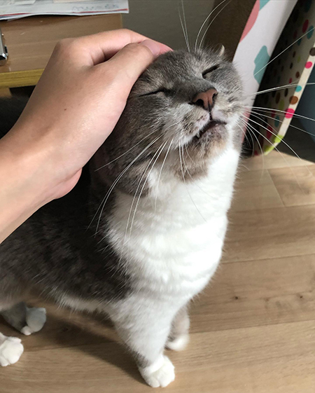 目をつぶるぎんちゃん