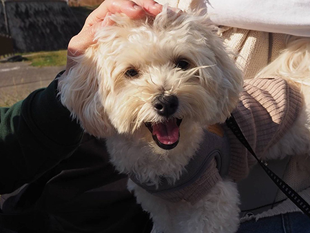 笑顔のロアちゃん