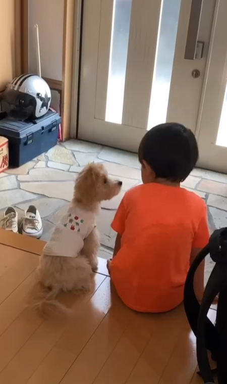 おいっ子くんを見るロアちゃん