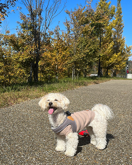青空とロアちゃん