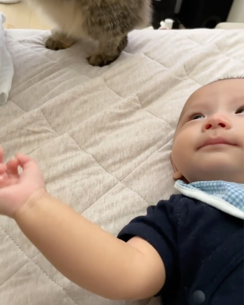 赤ちゃんが泣くと見守りにくる猫