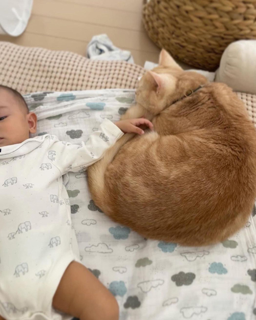 赤ちゃんに寄り添うマロンくん