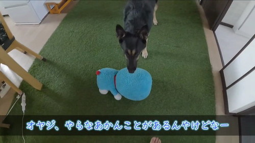 遊ぶ