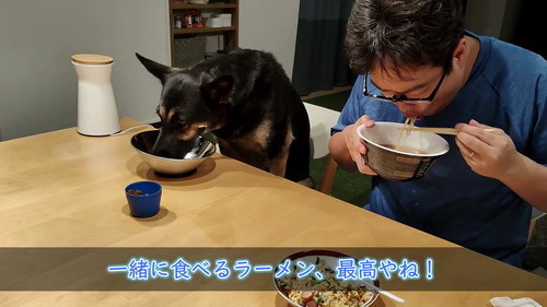 最高やね