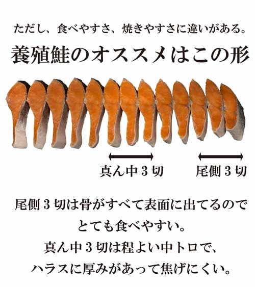 鮭の切身の形 一覧表 解説 天然 養殖　王子サーモン