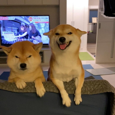 笑顔のお出迎え