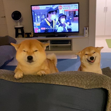 笑顔のお出迎え