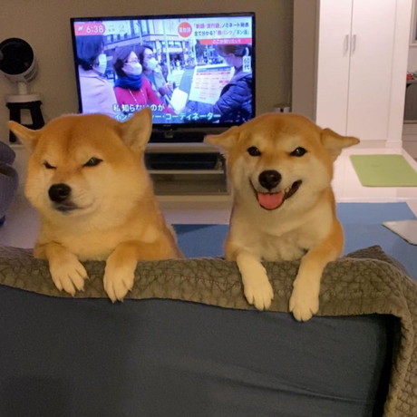 笑顔のお出迎え